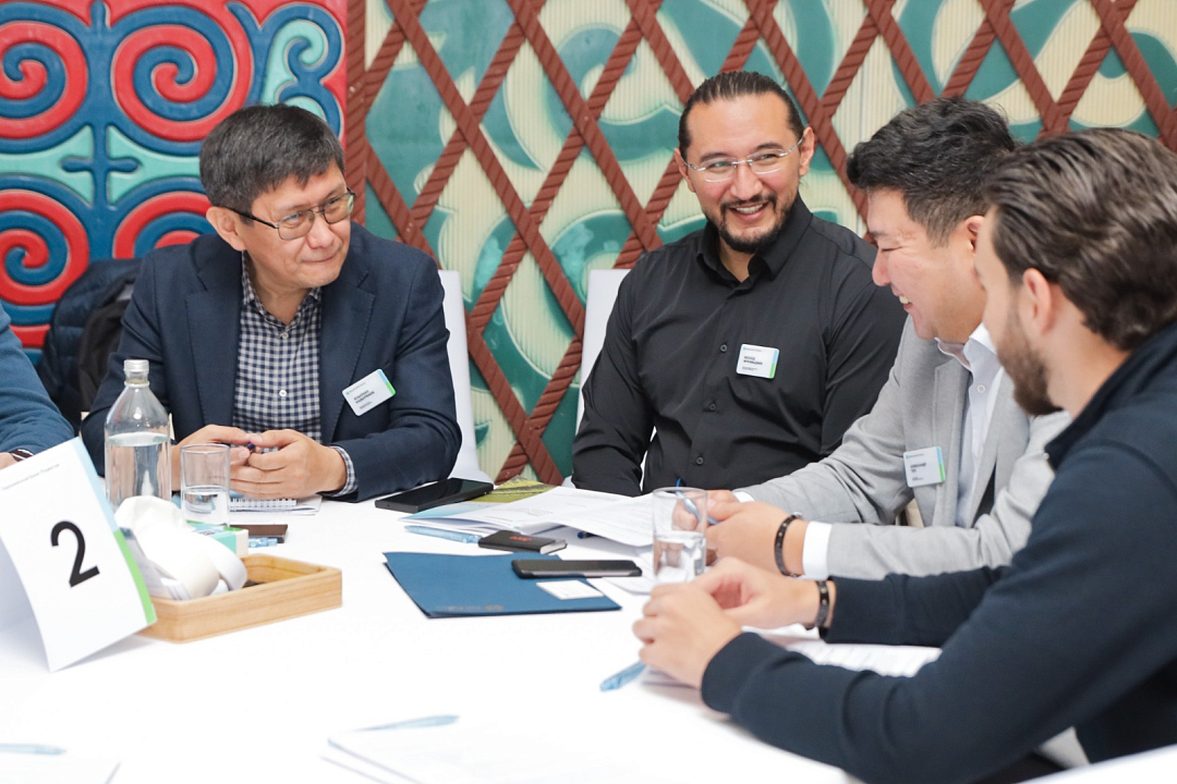 The EDB brings together Central Asian regulators to develop coordinated approaches to renewable energy financing