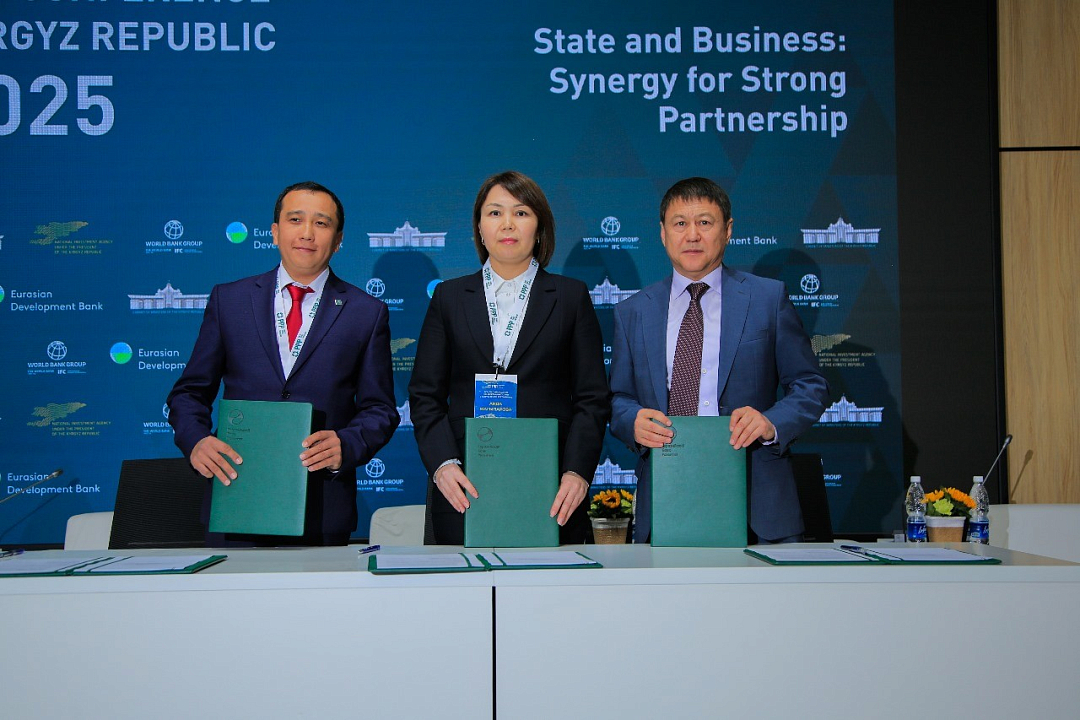 The EDB provides financing to strengthen the institutional environment for public-private partnerships in Kazakhstan
