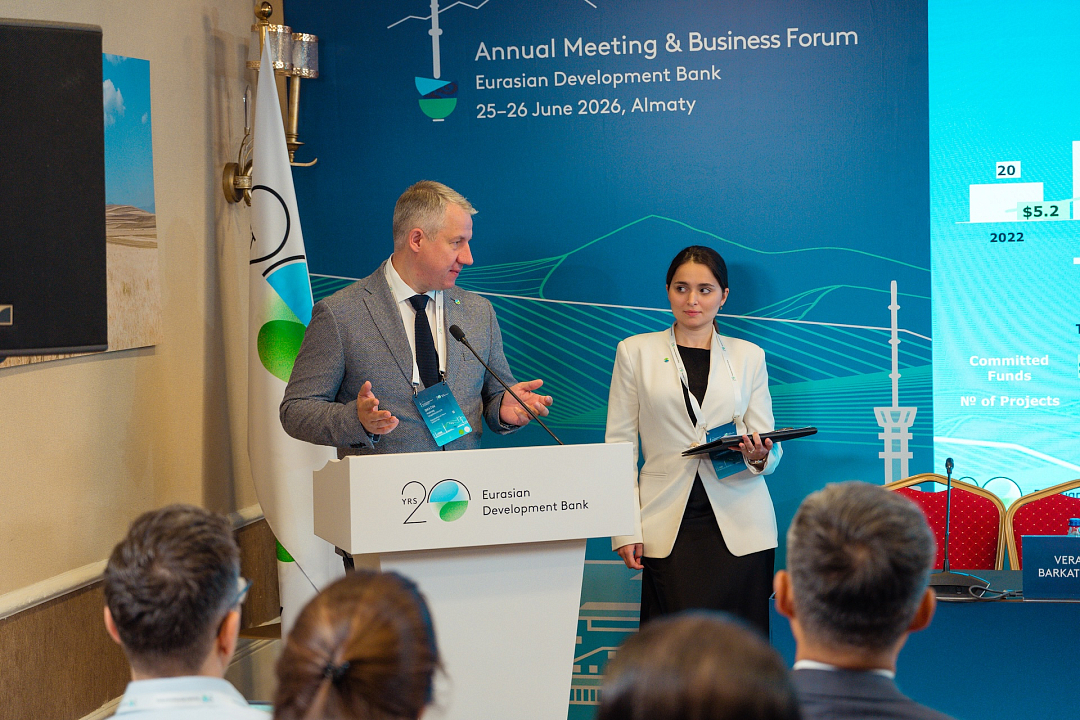 "From concept to project": EDB and international financial institutions synchronize approaches to technical assistance