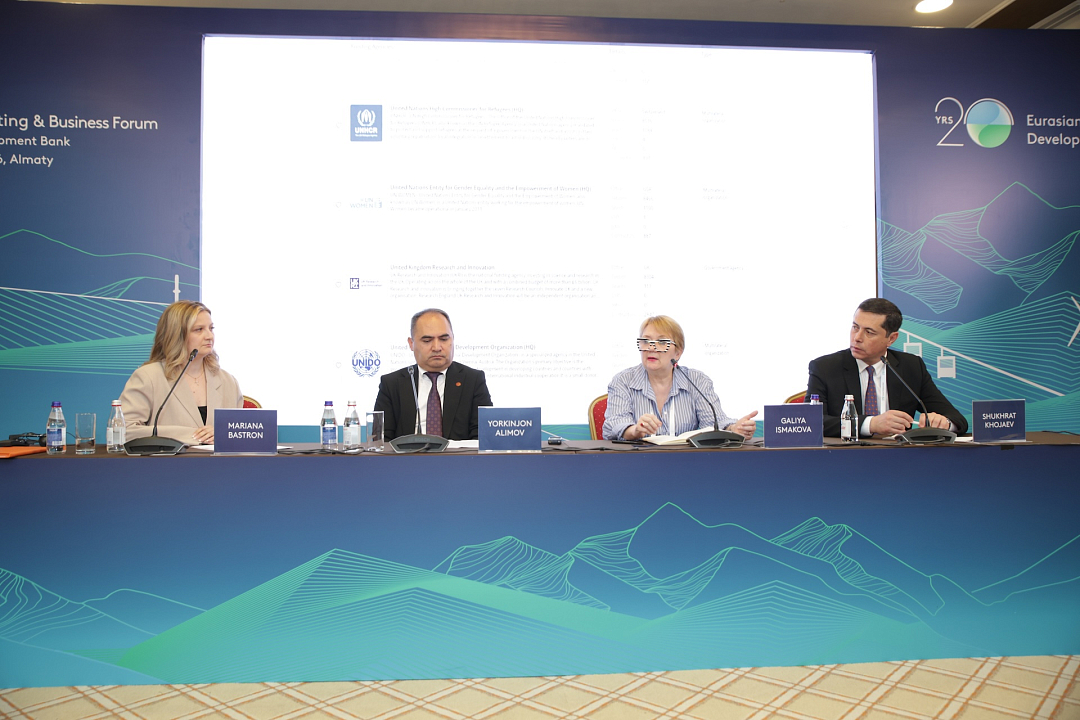 Representatives of development banks explained how businesses can participate in IDB projects