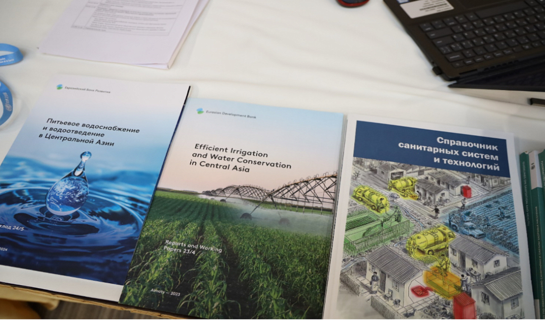 PPPs and IFI financing as the most promising mechanisms to develop the sanitation sector in Central Asia