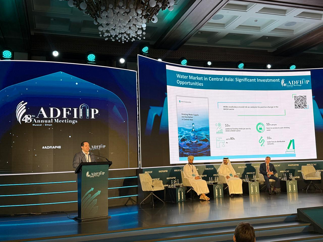 EDB Chief Economist Evgeny Vinokurov Argues at ADFIAP Annual Meeting 2025 that Central Asian Actions on  Water Might Carry Lessons to the World